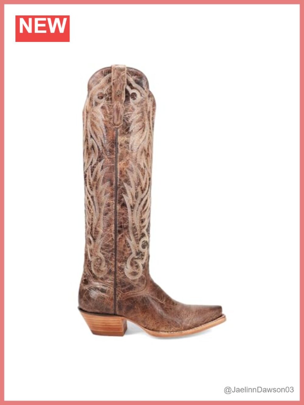 Dan Post Rustic Ridge Embroidered Bison Pull On Snip Toe Dress Boots Over the
